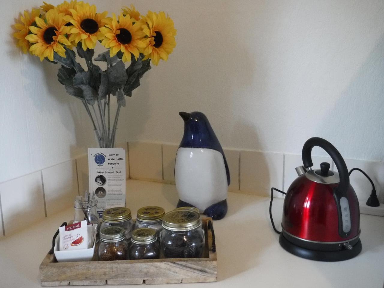 Blue Penguin Villa Timaru Zewnętrze zdjęcie